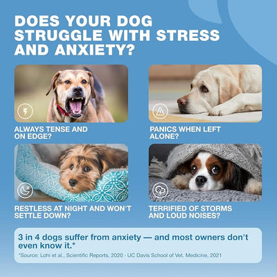 Hemp Calming Chews for Dogs Anxiety - Dog Calming Treats with Melatonin, Valerian Root, Chamomile Extract & Vitamin B Complex - Canine Chews for Vet Visits, Grooming, Travel, Thunderstorms, Fireworks