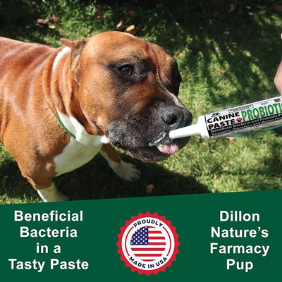 Dogzymes Canine Probiotic Paste Beneficial Bacteria-Enzyme 2.3 Billion CFU/gm Saccharomyces boulardii Organic Dried Honey Powder (15 Gram)