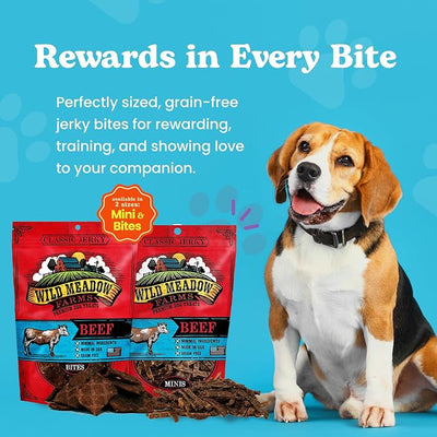 Classic Beef Bites, Soft Jerky Treats for Dogs, Grain-Free & All-Natural, Ideal for Training, Portioning, and High-Value Rewards for All Breeds & Ages - 3.5 Ounce Pouch