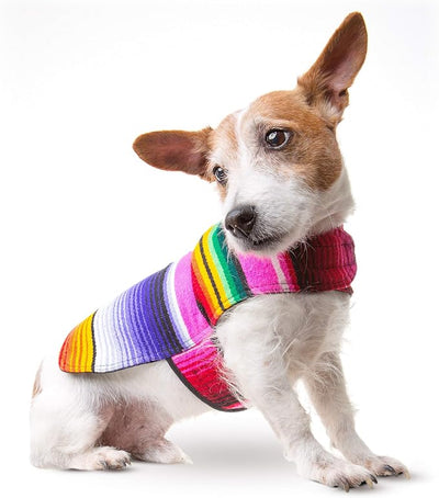 Dog Clothes - Handmade Dog Poncho from Authentic Mexican Blanket (Pink, X-Small)