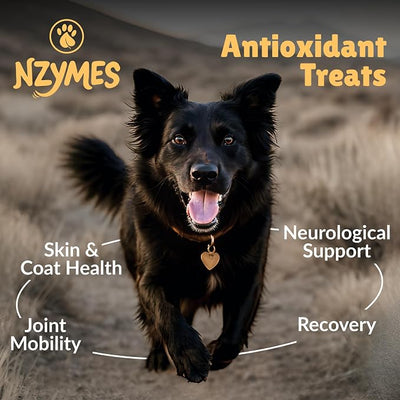 Nzymes® Antioxidant Treats - for Dogs Joints, HIPS, Paralysis, Skin, Coat, Hair Loss, Aging, Digestion, Neurological, Seizures - 60 Treats - Made in The USA