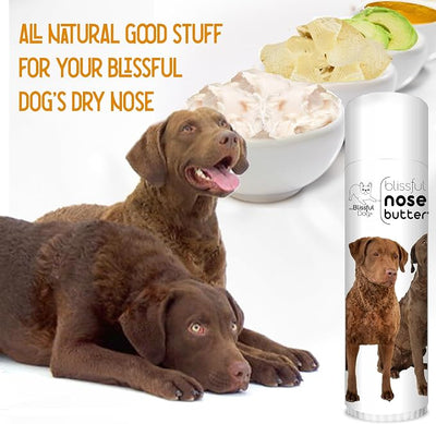 The Blissful Dog Chesapeake Bay Retriever Unscented Nose Butter, 0.50-Ounce