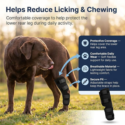 Dog Knee Brace for Hind Leg, Dog Hock Brace for Back Leg Support, Adjustable ACL CCL Brace for Dogs, Rear Leg Support for Joint Stability, Recovery & Mobility, Small Medium Large Dogs (Black, L)