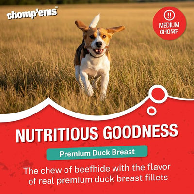 Chomp’ems Premium Beefhide Chew for Dogs, 1 Chew