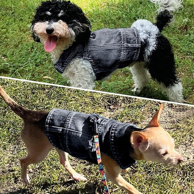 Dog Jean Jacket, Blue Denim Shirt Classic Lapel Vest Coat Costume Puppy T-Shirt, Comfort Tank Top Cool Apparel, Washed Pet Clothes for Dogs Boy Girl (Black with D-Ring, Large)