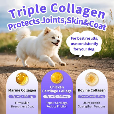 Collagen for Dogs - 12-in-1 Liquid Collagen for Skin & Coat Support, Hip & Joint with Types I, II & III Drops, Hyaluronic Acid, Green-Lipped Mussel - Chicken Flavor, 4 FL Oz