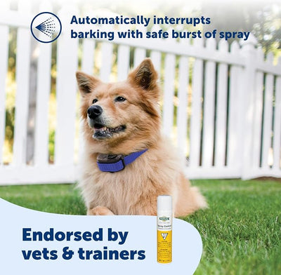 PetSafe Citronella Spray Can Refill - Environmentally Friendly, Pet-Safe Spray Refill for Bark Control Collars & Remote Trainers - Effective Distraction to Discourage Excessive Barking