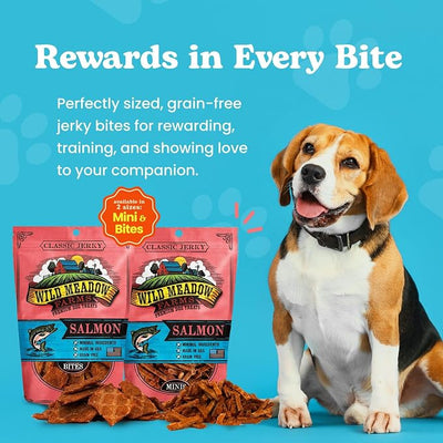 Classic Salmon Bites, Soft Jerky Treats for Dogs, Grain-Free & All-Natural, Ideal for Training, Portioning, and High-Value Rewards for All Breeds & Ages - 3.5 Ounce Pouch