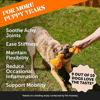 11-in-1 Advanced Hip + Joint Supplement for Dogs - Mobility Support with Glucosamine Chondroitin, Turmeric, & Green Lipped Mussel, MSM - Soothes Joint Stiffness & May Reduce Discomfort (Bacon, 90 Ct)