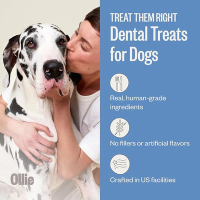 Ollie Dental Chews for Large Dogs, 4 Pack, Fresh Breath, Teeth Cleaning Treats, Sticks for Dog Oral Care, with Parsley and Cinnimon, for Pups 51 lbs and Above