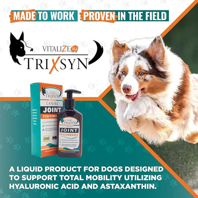 TRIXSYN - Canine Performance Hip and Joint Supplement for Dogs, 6 fl oz - Hyaluronic Acid Liquid HA with Patented MHB3 Formula to Support Joint Mobility & Recovery - 72 Day Supply