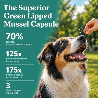 GLX3 Green Lipped Mussel Oil for Dogs | Joint & Hip Comfort Omega-3 Supplement | Ideal for All Dog Breeds and Ages | 2 Month Supply, 120 Gel Capsules w/Natural Ingredients