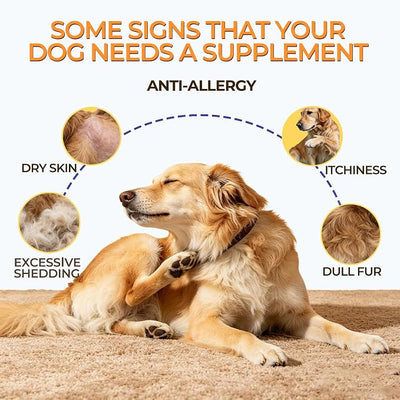 Skin and Coat Supplement for Dogs, Omega 3 Fish & Salmon Oil with EPA & DHA, Colostrum Support Skin & Coat Healthy, Itchy Dog Allergy May Reduce Shedding, Chicken Flavor, 120 Ct