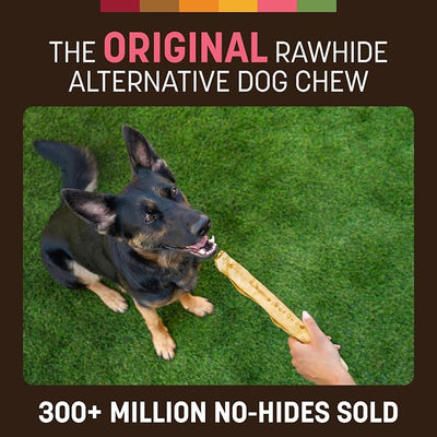 Earth Animal No Hide Chews - Long Lasting Rawhide Free Large Dog Chews Rolls, Salmon - 2 Count