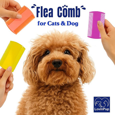 Pet Flea Comb for Dogs & Cats (3-Pack) – Fleas, Loose Fur & Tick Removal Tool for Cats & Dogs – Gentle & Durable Fine-Tooth Pet Hair Comb for Comfortable, Clean Coat Care