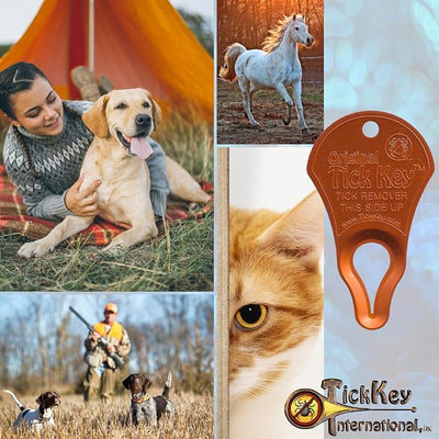 High Visibility Bundle - The Original Tick Key - Tick Detaching Device - Portable, Safe and Highly Effective Tick Detaching Tool (Yellow, Orange & Red)