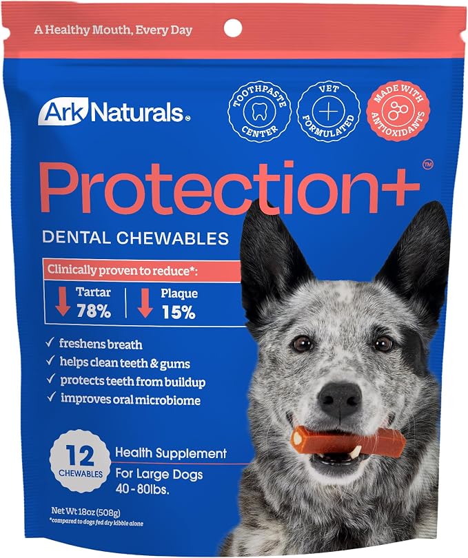 Brushless Toothpaste Protection Plus Large, 18 Ounce