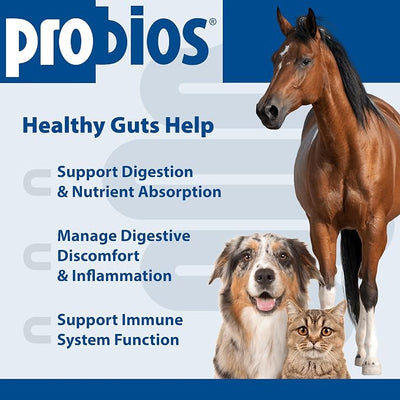 Probios Digestive Support Probiotic for Dogs, Horses, Cats, Gut Health Powder for All Species, Daily Supplement for Digestion Immune Support, 240 Grams (Pack of 2)