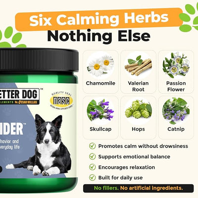 Better Dog Calm Surrender by Cesar Millan® Herbal Dog Calming Support Powder, Calming Supplements for Dogs, Dog Supplements for Travel, Grooming & Loud Noises, Chamomile, Valerian, Catnip, 4oz
