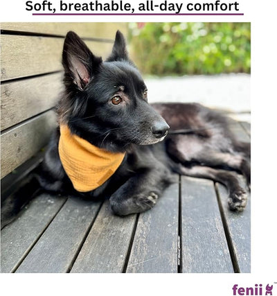 Premium Cotton Dog Bandanas - 2 Pack - Adjustable Fit - Washable - for Small, Medium & Large Breeds - Girl & Boy Dog Accessories - Multiple Sizes (Bumblebee Yellow & Pebble Gray, Large)