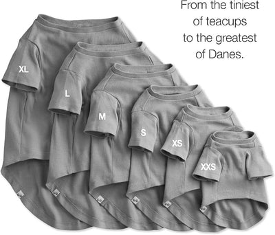 Pet Passion Toby 3-Pack 100% Organic Cotton Dog Short Sleeve T-Shirt Pet Tees for All Breeds, Gray Ombre, Small (10-25 lbs)