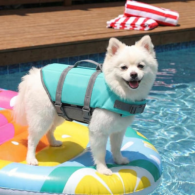Doglay Dog Life Jacket, Dog Life Vest for Swimming Boating, Adjustable Puppy Life Jacket with Reflective Stripes, Superior Buoyancy Dog Swimming Vest for Small Medium and Large Dogs