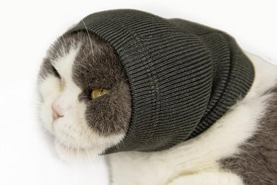 Cat Snood Ear Muffs,Calm Head Covers Blow Drying-Anxiety & Stress Relief - Cat Ear Wrap Injury Grey S