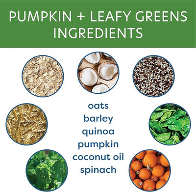 Body and Soul Pumpkin + Leafy Greens Crunchy Premium Training Dog Treat Superfood Oven Baked Biscuits Oats Barley & Quinoa - Clean Natural Plant Protein, No Additives No Fillers Made in USA 2Pk (20oz)