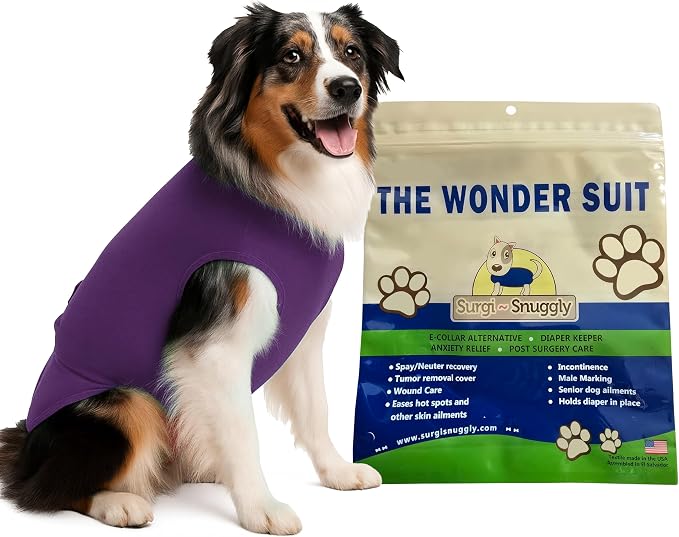 SurgiSnuggly Veterinary Invented Dog Surgical Recovery Suit for Female Spay or Male Dogs Neuters,Cone Alternative, Original Dog Onesie Bodysuit for After Surgery Small, Medium, Large Dogs Large Plum