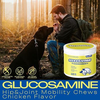 Glucosamine Joint Supplement for Dogs Joint Pain Relief – Glucosamine Chondroitin MSM & Turmeric Hip & Joint Support Chews for Large & Senior Dogs – 120 Ct