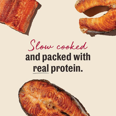 The Honest Kitchen Human Grade Dog Treats: Slow Cooked Jerky Salmon Recipe 5.4 oz Pouch