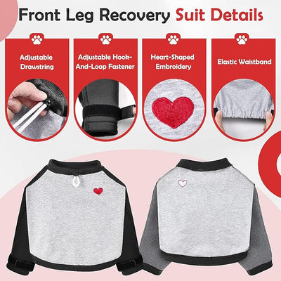 Lukovee Dog Surgery Recovery Suit for Female Male Dogs - Onesie Surgery Recovery Suit After Surgery (B, Small)