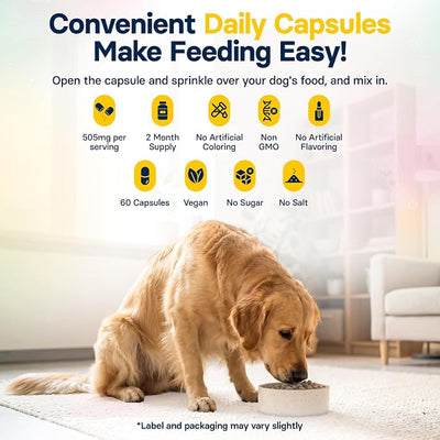 FiberSyl Prebiotics for Dogs Digestive Health - Dog Fiber Supplements for Constipation Relief & Support - Psyllium Husk Seed for Dog' Digestion Problems - Dog Stool Hardener - 60 Capsules