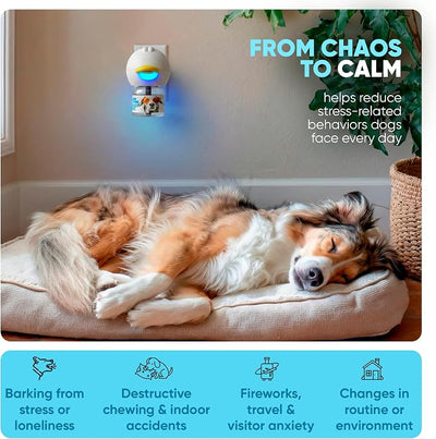 STUNICK CB1 Dog Calming Diffuser, Calming Pheromones, 60 Day Supply, 4 Diffuser and 8 Refills, Helps Reduce Stress, Separation, Pee Accidents, Barking, & Destructive Behaviors