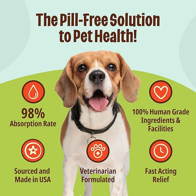 Licks Zen Calming Aid - Calm Behavior & Stress Support for Dogs & Cats - L-Theanine, Chamomile, Ashwagandha & Tryptophan - Pill-Free Gel Packets - Chicken Flavor - 5 Packets