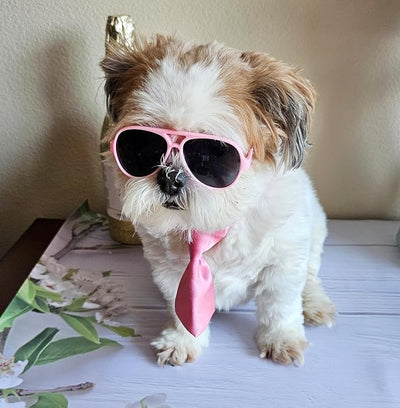 C26 Dog Pet Costume Set Retro Sunglasses + Tie Adjustable for Small Dogs up to 15 lbs Party Prop Cosplay Photoshoot (Aviator Pink Sunglasses +Pink Tie)