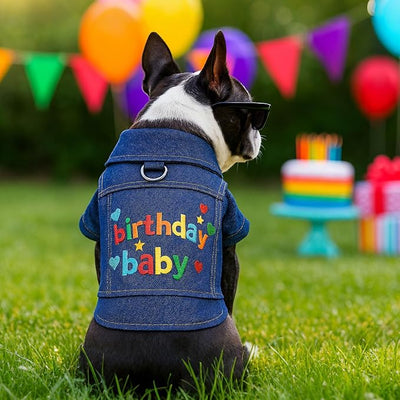 Dog Jean Jacket with D-Ring Blue Denim Coat Dogs Outfits for Small Dogs Cats Boy Male Girl Birthday Clothes Costume Letter Embroidery Dogggie Puppy Winter Warm Clothes(Birthday Baby,XS)