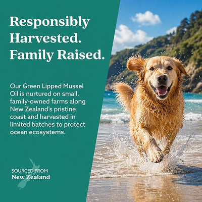 GLX3 Green Lipped Mussel Oil for Dogs | Joint & Hip Comfort Omega-3 Supplement | Ideal for All Dog Breeds and Ages | 1 Month Supply, 60 Gel Capsules w/Natural Ingredients