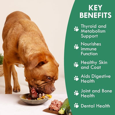 Holistic Bin Canine Atlantic Sea Kelp Dog Food Toppers | Supplement Powder with Iodine and Minerals | Pet Essentials | For Shiny Coat and Skin Wellness | Gut Flora & Oral Freshness | Canine Kelp (50g)