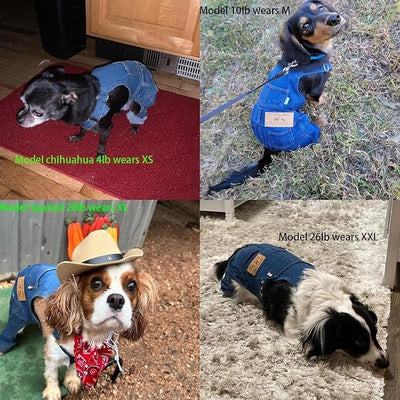 Pet Clothes Elastic Jeans Overalls Comfortable Washed Denim Cute Style for Puppy (L)
