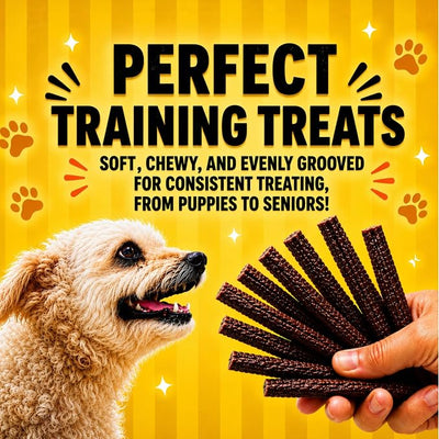 Beef and Sweet Potato Dog Treats, Soft Chicken Jerky for Small and Large Breeds, Naturally Healthy, Made in The USA (32 oz)