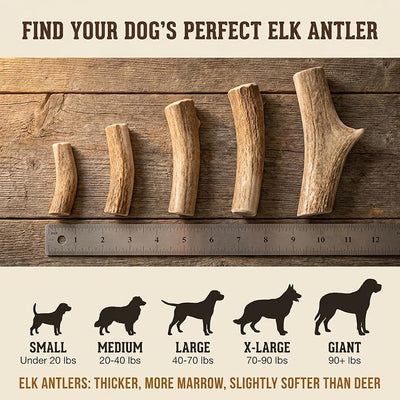 Heartland Elk Antlers for Dogs - Daily Dental Care Chews for Aggressive Chewers to Reduce Plaque & Prevent Destructive Behavior (Splinter Free, Split, 7", Large, 1-Pack, Grade A, USA Made)