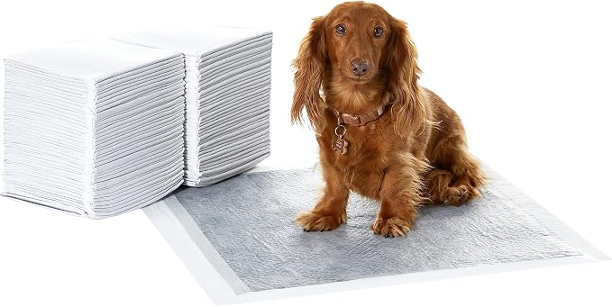 Amazon Basics Carbon Odor Control Dog and Puppy Pee Pads, 5-Layer Leak-Proof Super Absorbent, Quick-Dry Surface for Potty Training, Regular Size 22"x22", Gray, 80 Count