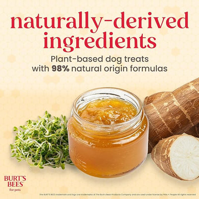 BURT'S BEES FOR PETS Dental Treats for Dogs with Manuka Honey & Ginger, 98% Natural Origin, Holistic Oral Care, Freshens Breath, Peanut Butter Flavor, Small Size, 10 ct, 6.8 Oz