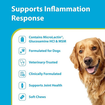 PRN Pharmacal Duralactin Canine Joint Plus Soft Chews - Joint Health Supplement for Dogs & Puppies - Pet Mobility Support - 90 Soft Chews
