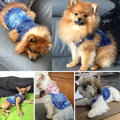 Dog Jean Jacket, Blue Denim Shirt Classic Lapel Vest Coat Costume Puppy T-Shirt, Comfort Tank Top Cool Apparel, Washed Pet Clothes for Dogs Boy Girl (Blue, Medium)