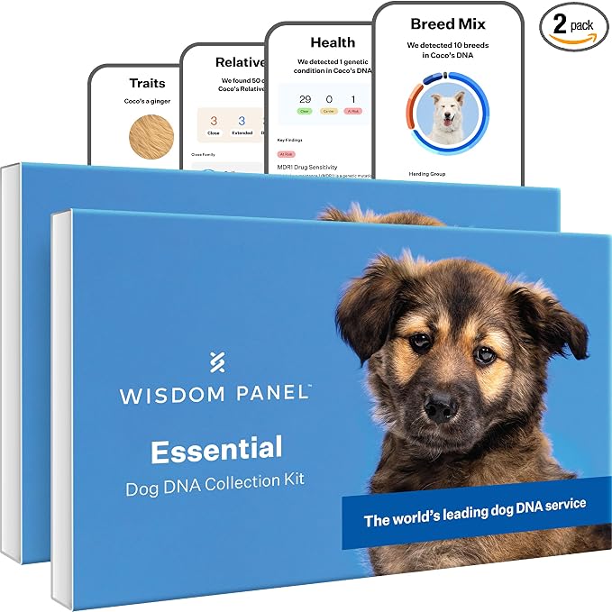 Wisdom Panel Essential Dog DNA Testing Kit - Most Accurate Test for 430+ Dog Breeds, 30 Genetic Health Conditions, 50+ Traits, Relatives, Ancestry, 2 Pack