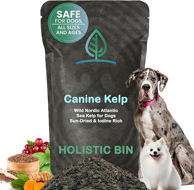 Canine Atlantic Sea Kelp Dog Food Toppers | Supplement Powder with Iodine and Minerals | Pet Essentials | For Shiny Coat and Skin Wellness | Gut Flora & Oral Freshness | Canine Kelp (50g)