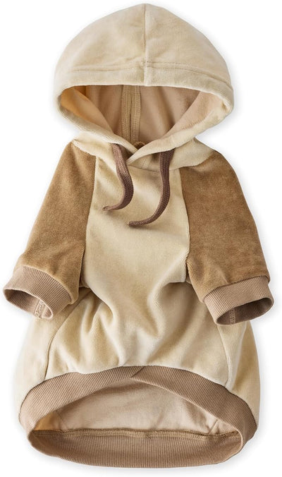 Pet Passion Cooper II Organic Cotton Velour Dog Hoodie Pet Coat for Small, Medium and Large Dogs, Coffee Color Block, XXX-Small (up to 5lbs)