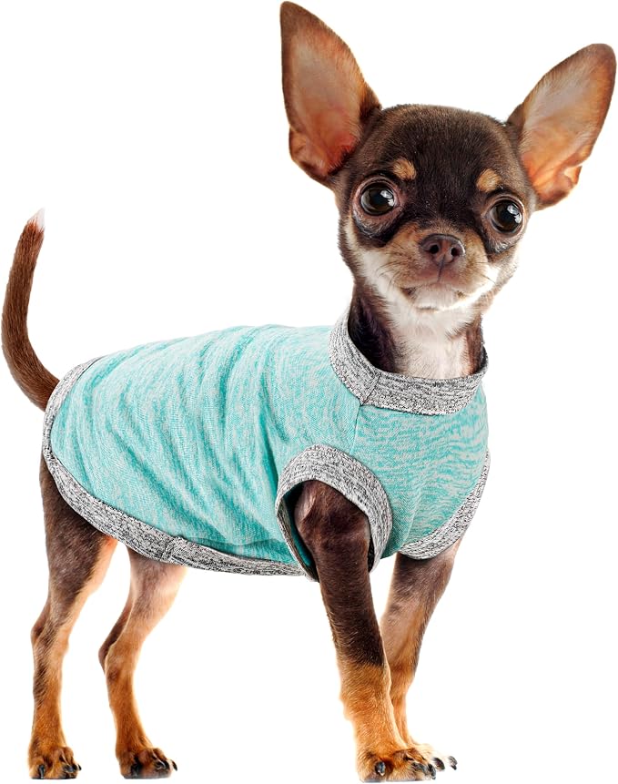 Chic Ion Polyester Dog Vest: Adorable Fashion Apparel for Small, Medium, and Large Breeds, Moisture-Wicking, Soft, Anti-Static, Durable, and Easy-to-Clean Design - Light Blue 3XL